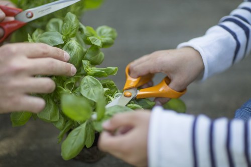 Dzięki nożyczkom ogrodowym Fiskars wzbogacenie potraw świeżymi ziołami  i kwiatami stanie się niezwykle proste i zajmie nam zaledwie kilka chwi